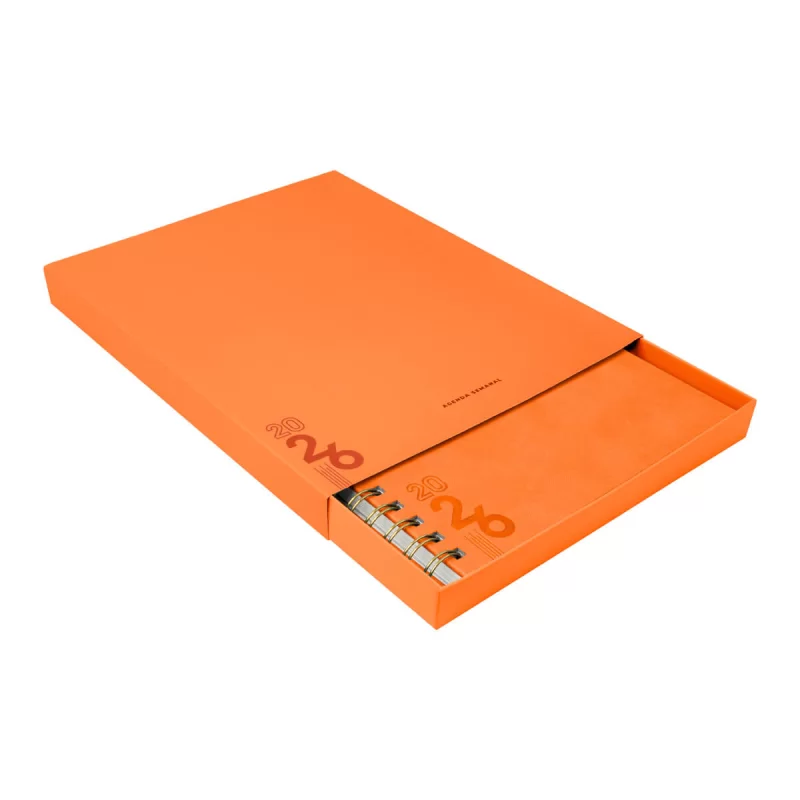 AGENDA SEMANAL TERRA 2026